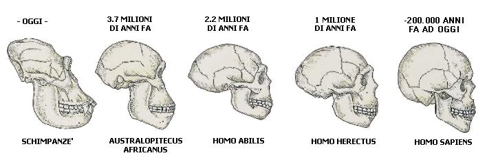 in collegamento diretto con l'africa: l'europa e l'asia. Il più antico resto fossile europeo, vero e proprio, è una mandibola trovata in Germania a Heidelberg.