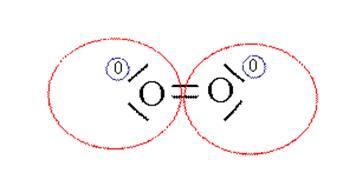 Appunti di Stechiometria per Chimica Numero d ossidazione Si definisce numero d ossidazione la carica complessiva di un atomo (differenza tra protoni ed elettroni dell atomo), ottenuta assegnando,