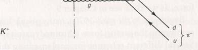 La φ, così come la J/ψ, ha i numeri quantici del fotone, tra cui C= 1.