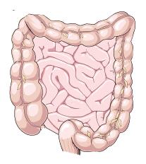 Antiplatelets Drug metabolism Ticagrelor O O O F O N