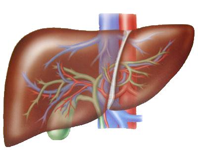 S F F Ticagrelor Prasugrel Clopidogrel Hydrolysis by