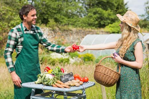 Imprenditori agricoli Nell'ambito dell'esercizio della vendita diretta e' consentito il consumo immediato dei prodotti oggetto di vendita, utilizzando i locali e gli arredi nella