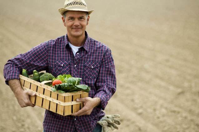 Imprenditori agricoli- L Inizio attività Per la vendita al dettaglio esercitata su superfici all'aperto nell'ambito dell'azienda agricola, nonche' per la vendita esercitata in