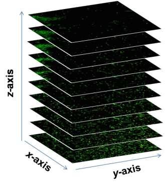 semi-automated pollen classification in forensic