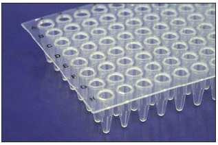 PIASTRE PER PCR PCR PLATES Amplificazione affidabile! Una gamma di Piastre con 96 pozzetti per PCR di alta qualità. Piastre prodotte in polipropilene per applicazioni standard e in tempo reale.