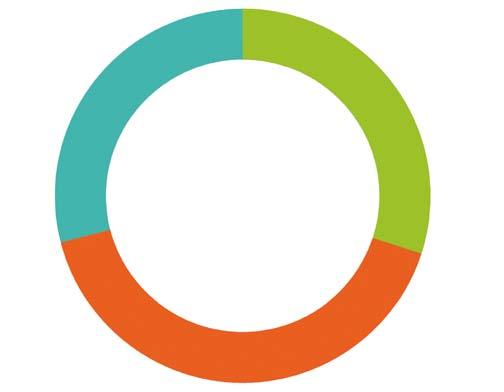 IL GRADO DI DIVERSIFICAZIONE GEOGRAFICA Quasi 1/3 delle aziende italiane è presente con IDE in più di 3 Paesi.