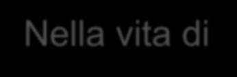 Nella vita di tutti i giorni Lo Statuto degli Studenti e delle Studentesse è in vigore dal 1998 ma molte volte è poco conosciuto nelle scuole e tra gli studenti.