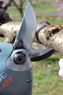 These shears are lightweight and have an ergonomic design, making them easy to use.