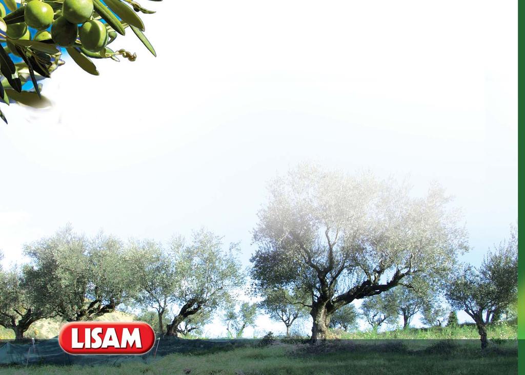 RACCOLTA OLIVE OLIVE HARVESTING Grazie all esperienza acquisita negli anni, nel progettare e costruire strumenti sempre più innovativi, Lisam è riuscita a creare un ampia gamma di pettini pneumatici