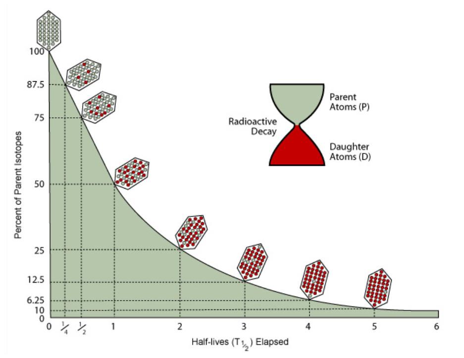 Premessa (IV) Fig.1 Curva esponenziale del decadimento radioattivo. In ascissa l unità di misura è espressa come tempo di dimezzamento T1/2.
