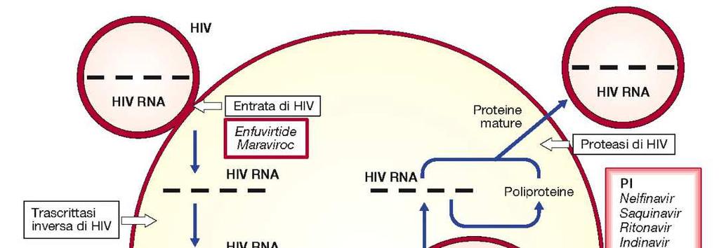 Terapia: