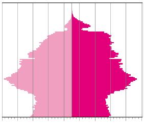 un analisi dinamica della popolazione residente in provincia di trento attraverso i censimenti Grafico 2.