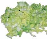 Puntarelle di Galatina 70 gg 100 500