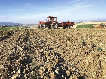 territorio e i suoi valori paesaggistici, permetta un collegamento tra ruralità, prodotti tipici e