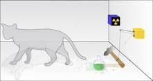 fotone attraversa il polaroid (l atomo decade), si mette in moto il martello che rompe la fiala facendo uscire il veleno, uccidendo il gatto.