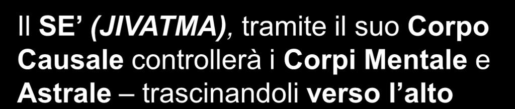 CONTROLLO DEI CORPI TRAMITE IL SE Il SE (JIVATMA),