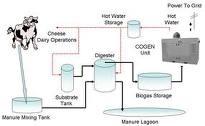 Linee Guida - Articolo 3 Impianti esclusi dal riconoscimento e dalla registrazione d) impianti di biogas e compostaggio: annessi all azienda agricola stallatico /effluenti di allevamento: prodotti