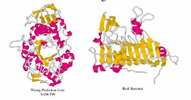 CAFASP Critical Assessment of Fully Authomated Techniques for Protein Structure Prediction.