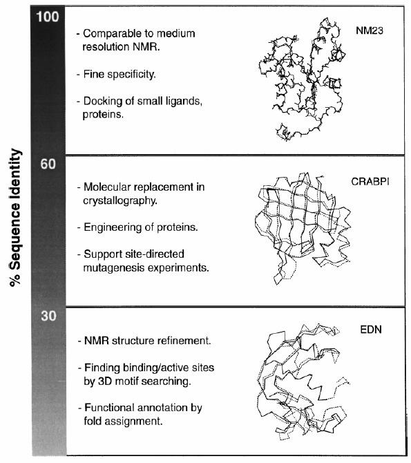 Target: Sequenza di cui si cerca la struttura Templato: Sequenza con struttura nota, stampo per il modello Comparative o homology modeling Ricerca in database Modello costruito da struttura omologa