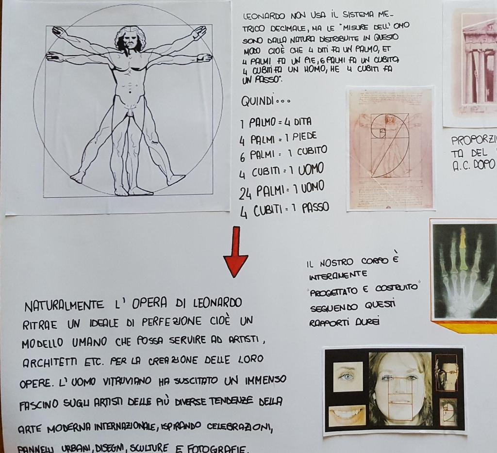 OBIETTIVO 2- La sezione aurea Fase 3: riconoscimento del rapporto aureo in natura, architettura e arte.