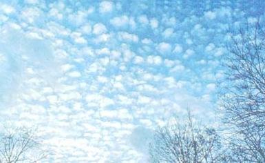 altocumuli Gli altocumuli sono costituiti da nubi distinte molto vicine tra loro a costituire strati di aspetto solitamente ondulato e fibroso che