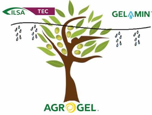 Alta efficienza di assorbimento Per l olivo l integrazione tra concimazione solida al terreno, concimazione fogliare e fertirrigazione, dove possibile, rappresenta la soluzione più efficiente.