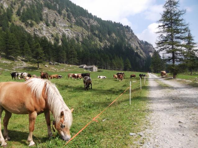 Partiamo dal parcheggio del Lago Serrù per dirigerci verso la confinante Val Soana, dove