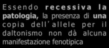 Eredità legata al sesso (o -linked) Molti geni si trovano sul cromosoma nella porzione che non ha omologo nel cromosoma