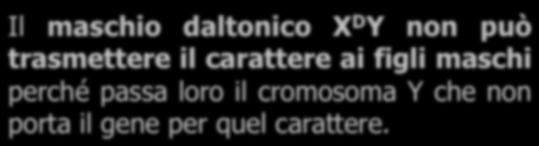 daltonico D Y non può trasmettere il carattere ai figli maschi perché passa loro il