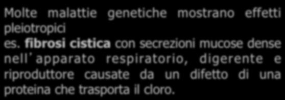 fibrosi cistica con secrezioni mucose dense nell apparato respiratorio, digerente e riproduttore causate da un difetto di una proteina