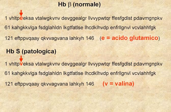 Gli individui eterozigoti non mostrano sintomi in condizioni normali.