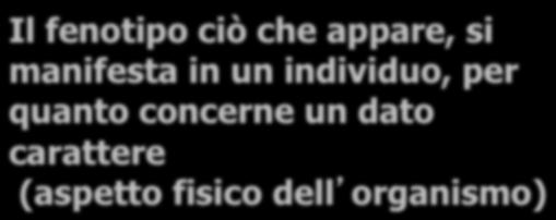 Il fenotipo ciò che appare, si manifesta in un individuo, per quanto concerne un dato carattere (aspetto fisico dell organismo) Il