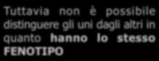 alleli non sono identici uno sarà dominante ed uno recessivo 4) I due alleli si separano (segregano) al momento della formazione