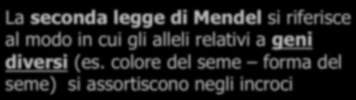 in cui gli alleli relativi a geni diversi (es.