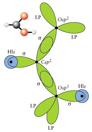 molecola H 2 CO - L