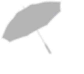 ombrelli scuro beige bordeaux marrone 4210/5 Ombrello legno automatico - cm.