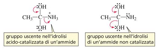 Reazioni delle ammidi