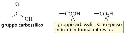 Nomenclatura Acidi carbossilici Il gruppo funzionale