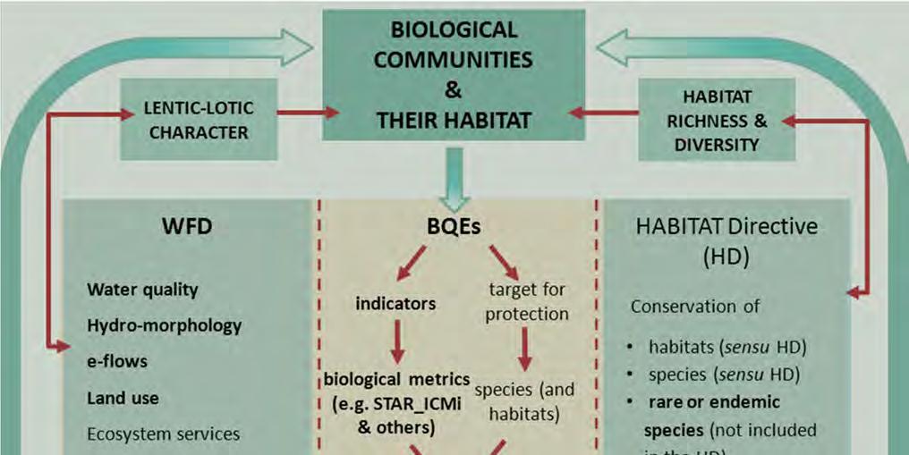Figura 1. Scheme of INHABIT project general framework. In bold: issues directly addressed in the project while setting measures to restore/maintain water bodies in a good ecological status.