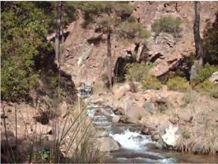 Figure 2. Pictures of river sites with different level of degradation. From left to right: Agios Nikolaos upstream Fishfarm, Stavros tis Psokas Rizokremos, Kryos Koilani.