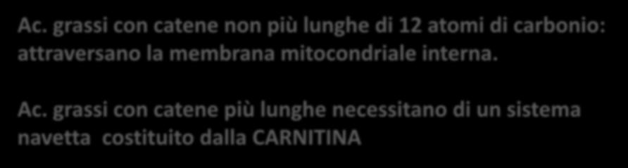 Nelle piante il sito principale della β-ossidazione degli ac. grassi sono i perossisomi. Ac.