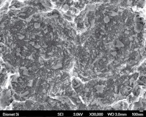 singoli campi e più campi di scala topografica dopo 6,9 e 12 giorni di guarigione.