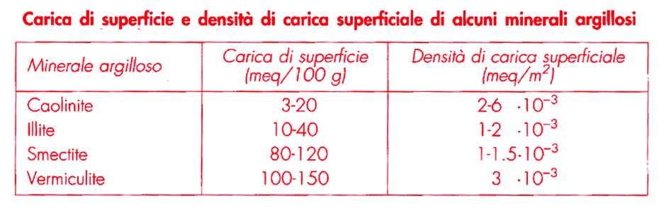 LA DENSITA DI CARICA densità di carica superficiale (meq/m 2 )