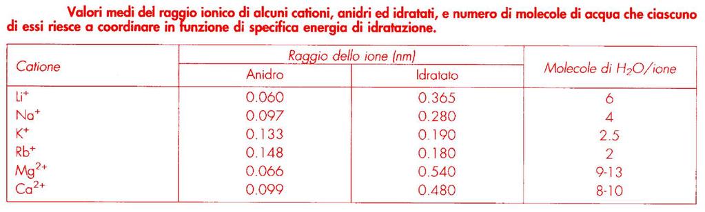 NATURA DEI CATIONI Adsorbimento funzione dell attrazione elettrostatica Al 3+ > Ca 2+ > Na + Valori medi del raggio ionico di alcuni cationi, anidri ed idratati, e numero di molecole di acqua che