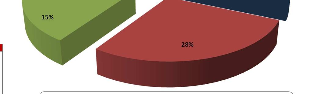 4,05% NOR 2,22% SVI 1,95% USA 1,76% BEL 1,20% CAN 0,42% Anche nella gestione della componente