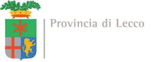 FOCUS sulle iscrizioni alle CLASSI PRIME degli ISTITUTI SUPERIORI e dei CENTRI DI FORMAZIONE PROFESSIONALE nella Provincia di Anno scolastico e formativo 217/218 36 33 3 27 24 21 18 15 12 9 6 3 951