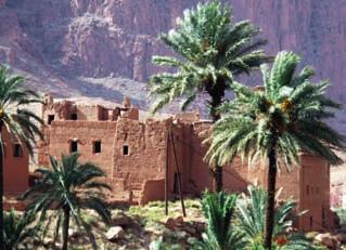 MAROCCO Luoghi di interesse Dalle kasbah alle città imperiali, dai picchi rocciosi dell Atlante alle sabbie sconfinate del Sahara, il Marocco offre splendide testimonianze di un glorioso passato e