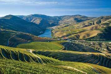 Scoperta dei grandiosi paesaggi della Vale del Douro, classificata come patrimonio mondiale dell Unesco, con i suoi bacini e