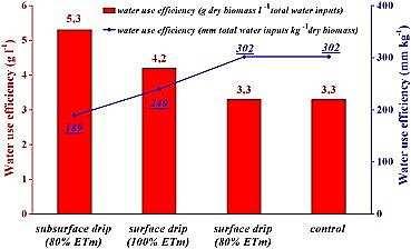 Il sorgo coltivato a fini energetici e l efficienza di utilizzazione dell acqua in ambienti meridionali