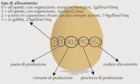 Emilia Romagna Antonella